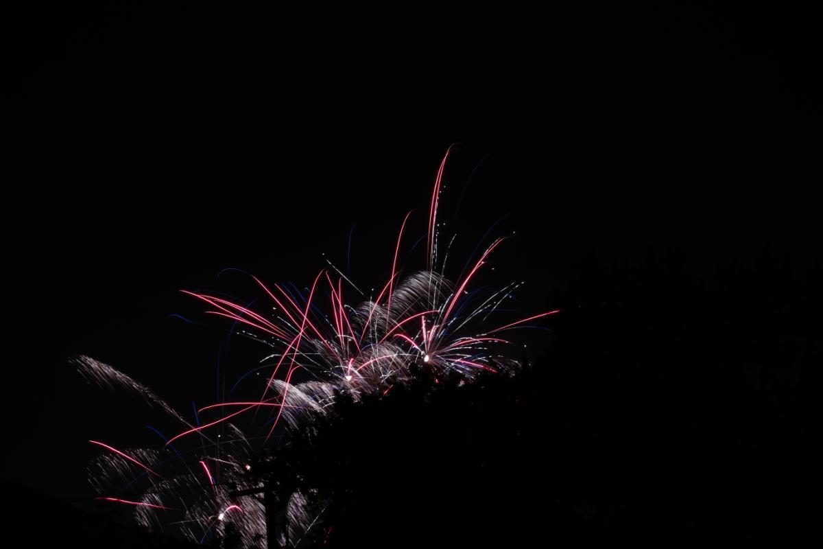 Celebration